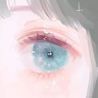 shouji2328884q53ͷ