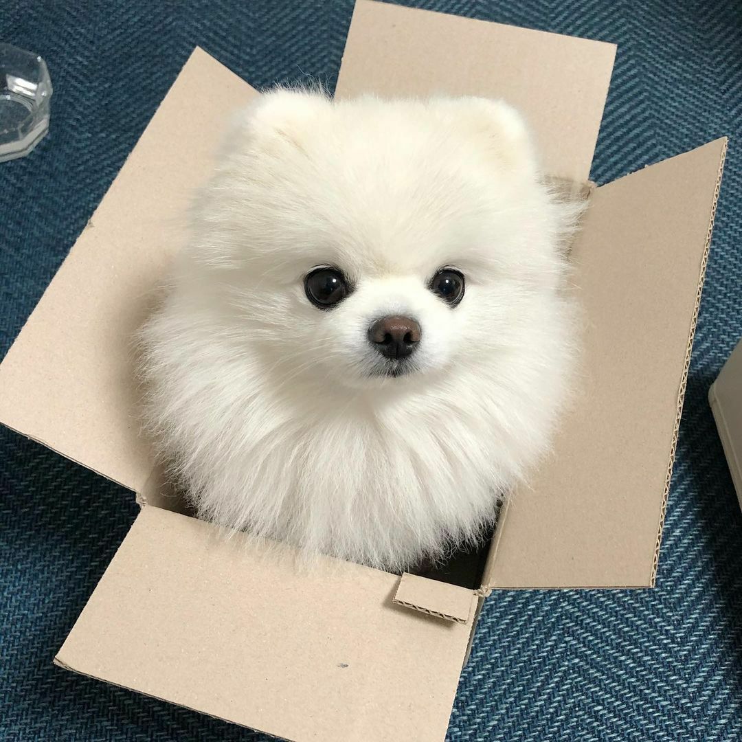 shoujiu7132446ͷ