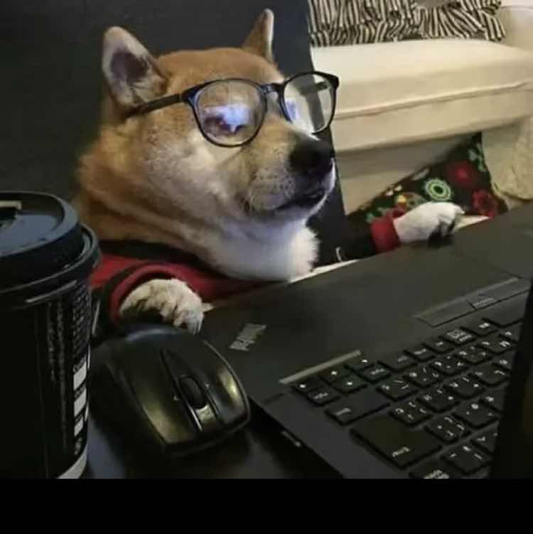 shoujiu5532726287ͷ